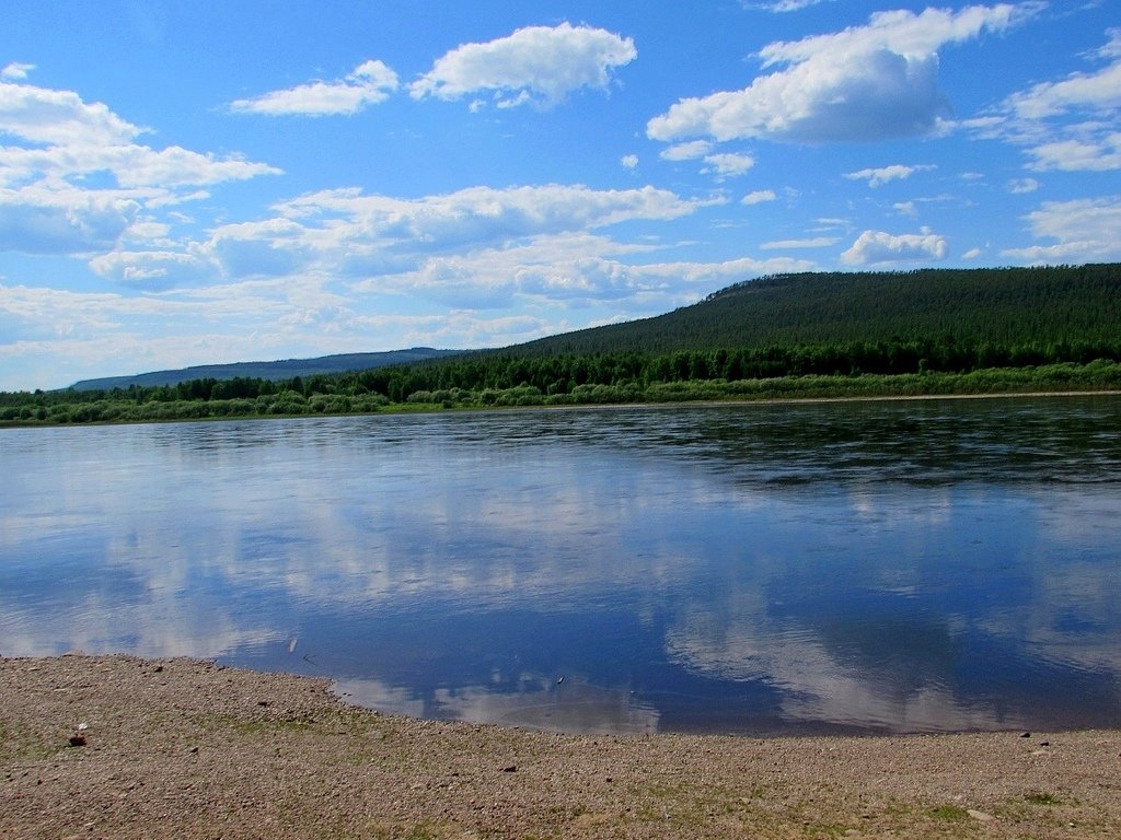 Река Алдан Фото — Mixyfotos.ru