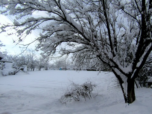 Снежный пейзаж на Кубани - редкое зрелище