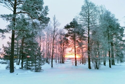 Зимний восход