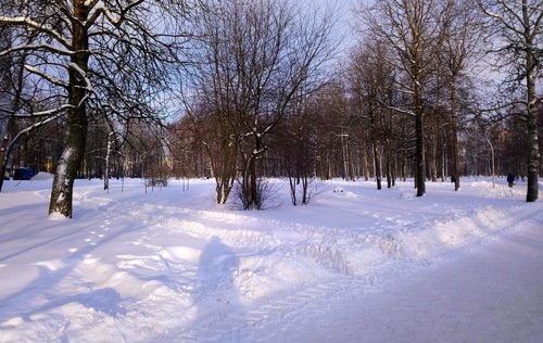 В зимнем парке