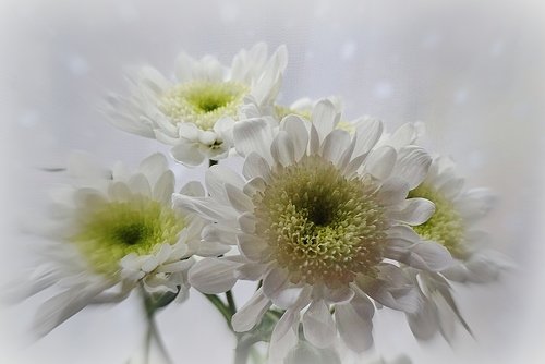 Грустный день...