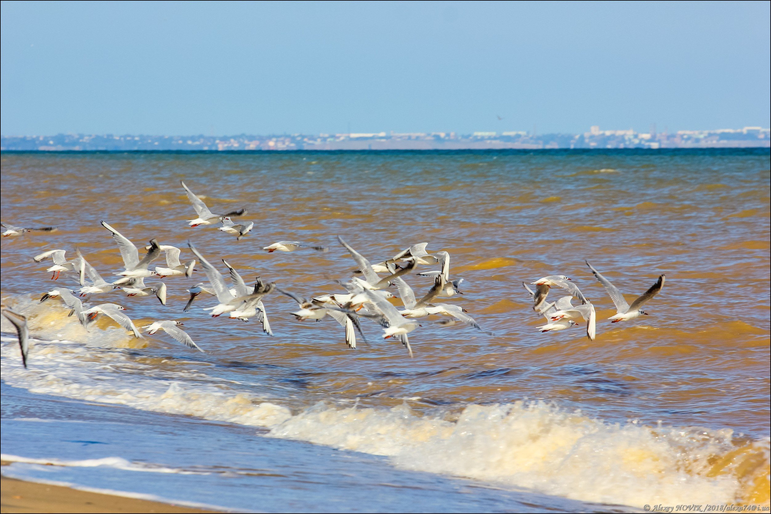Пляж Чайка Азовское море