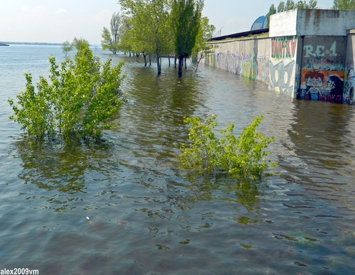 Где берег был, теперь вода!