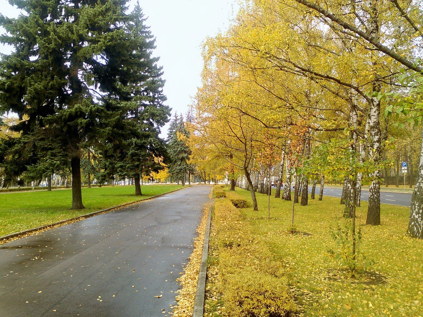 университетский проспект москва