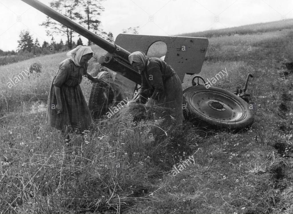 Вице-адмирал ф. Малый охотник северный флот. Ф 1942. Ф 1942. Светильник на флоте 1942.