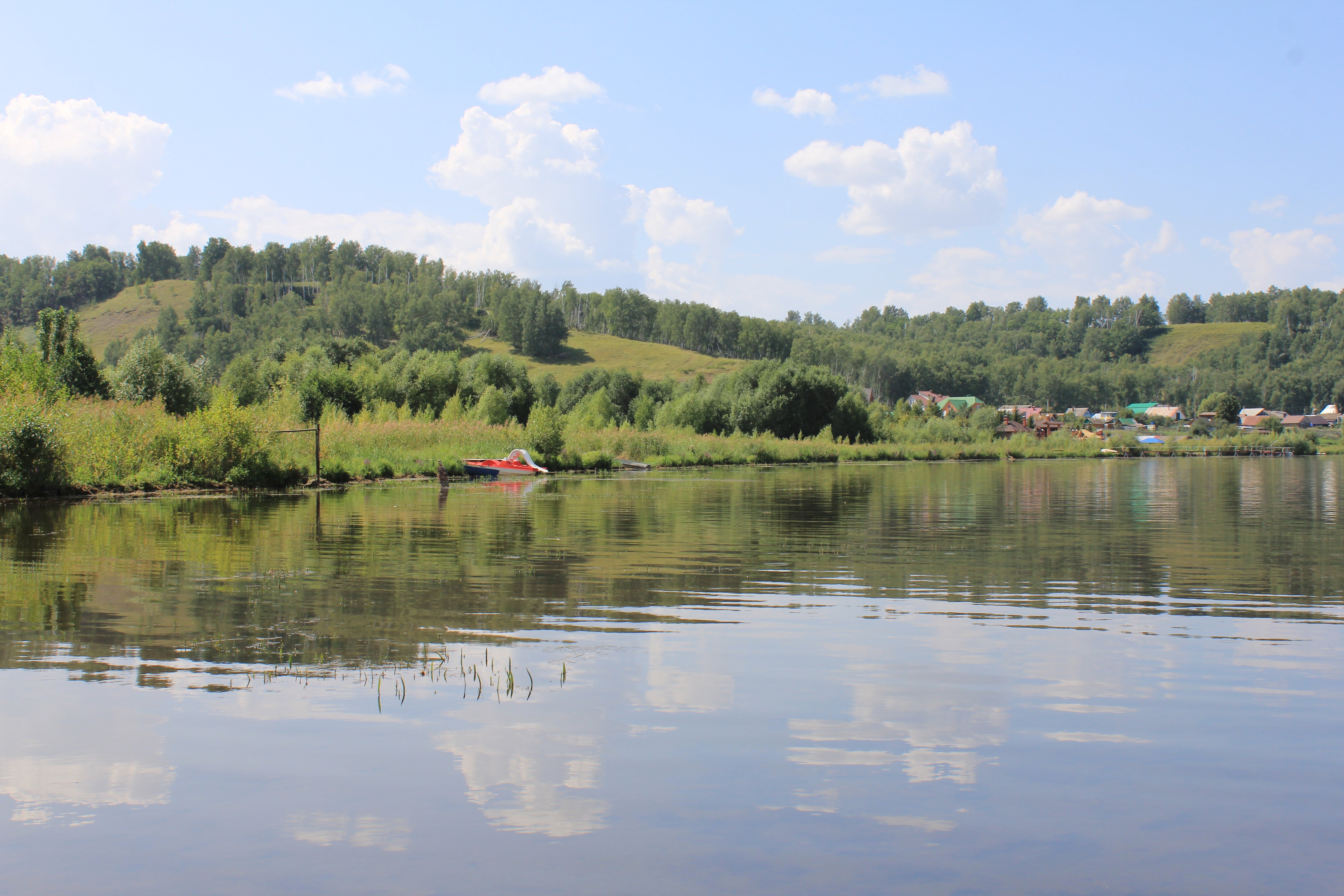 Картинки в кандрах