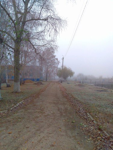 Морозный туман под Воронежем..