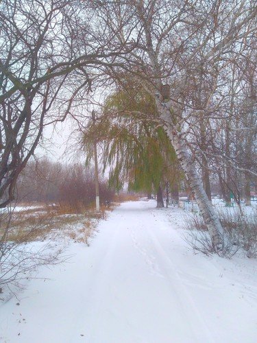 А наутро выпал снег...в Воронеже.