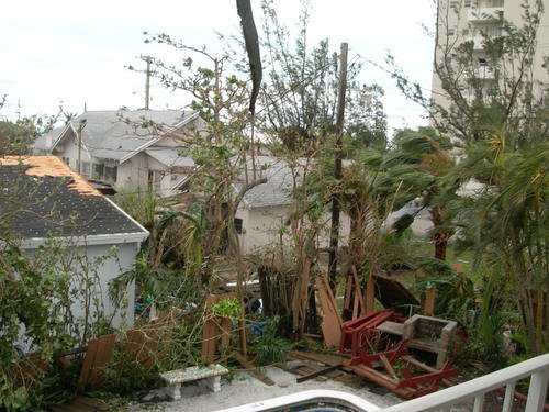 Двор во Флориде после урагана