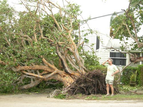 После урагана во Флориде. Не поднять.