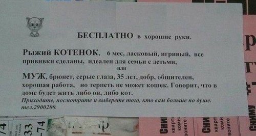 объявление