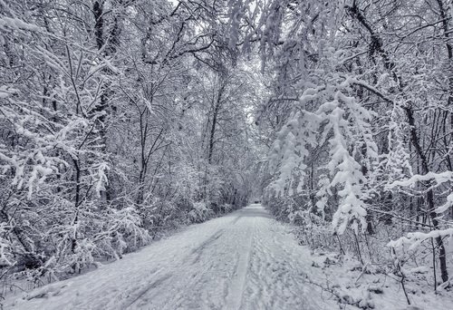 ЛУЧШИЕ ФОТОГРАФИИ