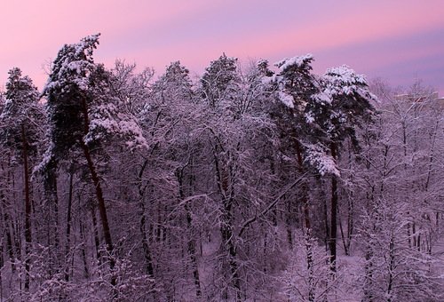 краски утренней зари