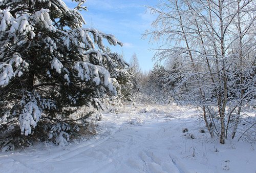 снежная сказка