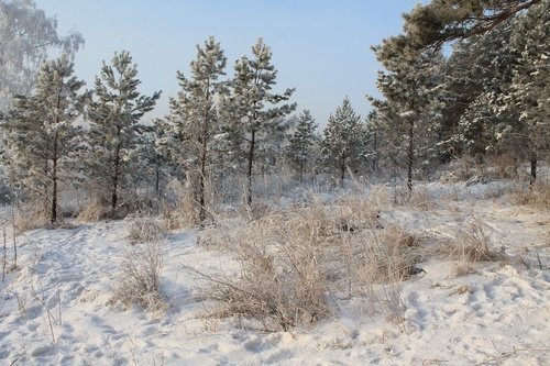 В Экопарке