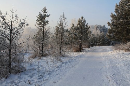 В зимнем экопарке