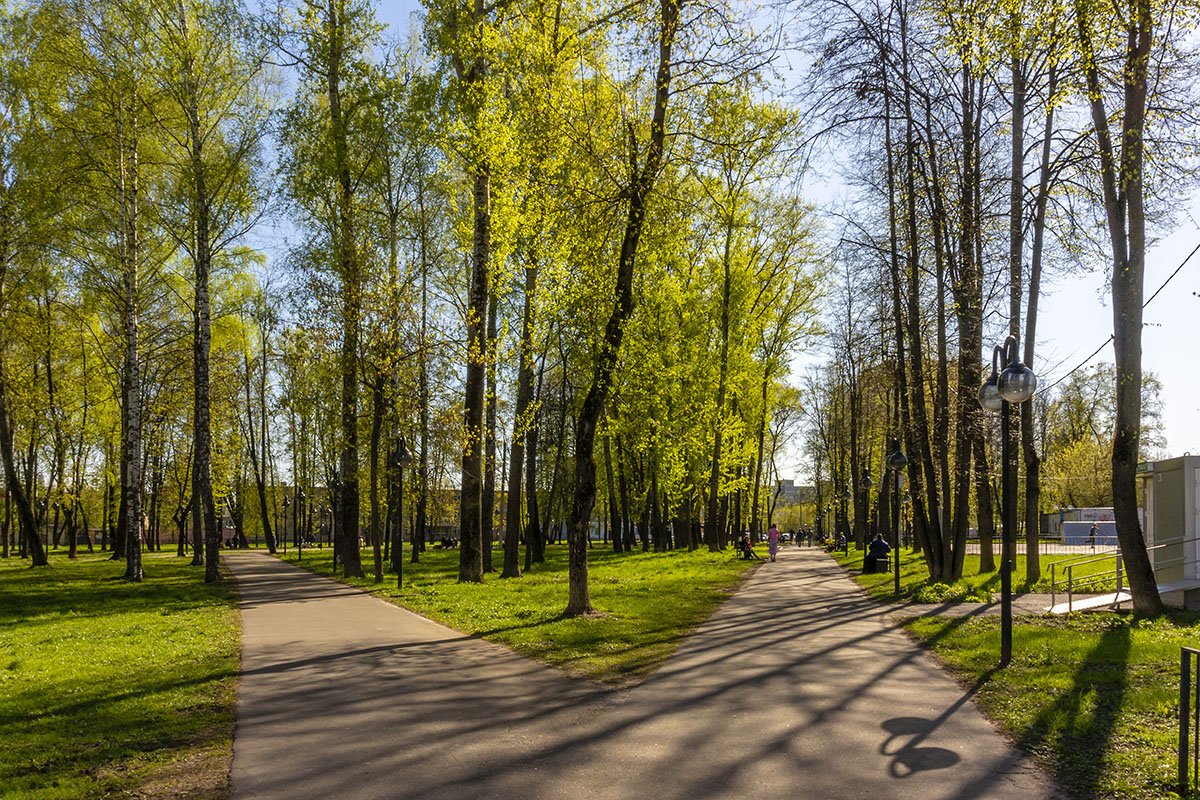 Парк в брянске фото