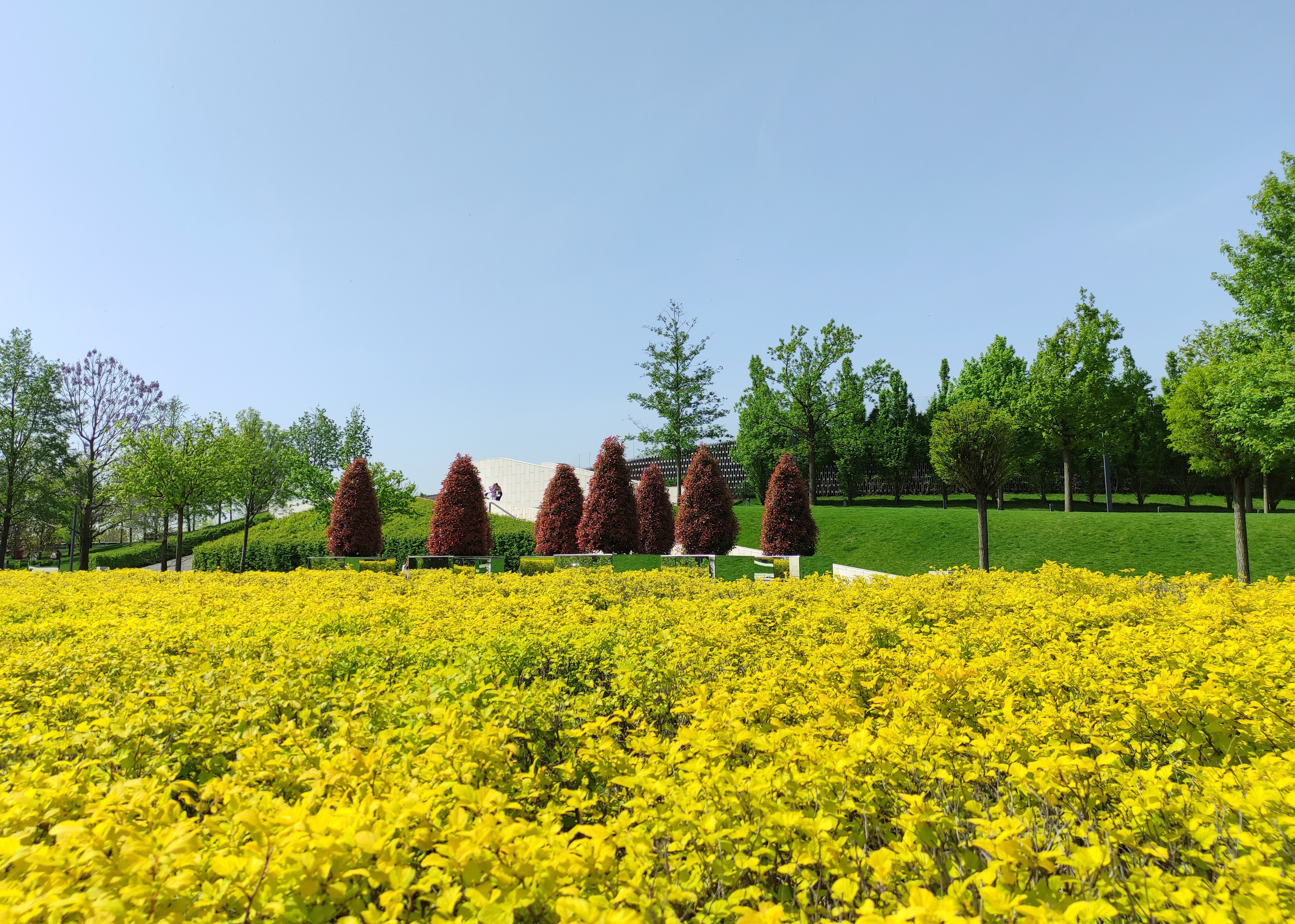 краснодар парк галицкого весной