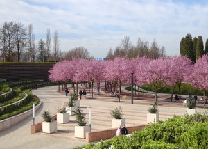 До встречи в следующем году!