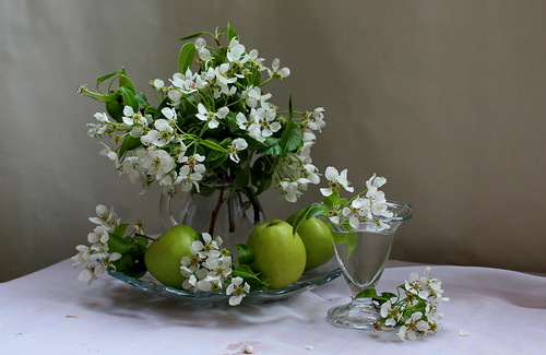 натюрморт с яблоками и ветками цветущей груши