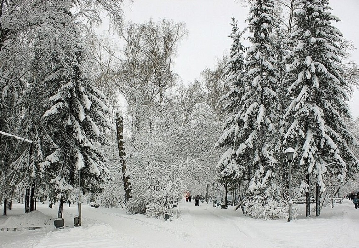 Новосибирск Зимой Фото