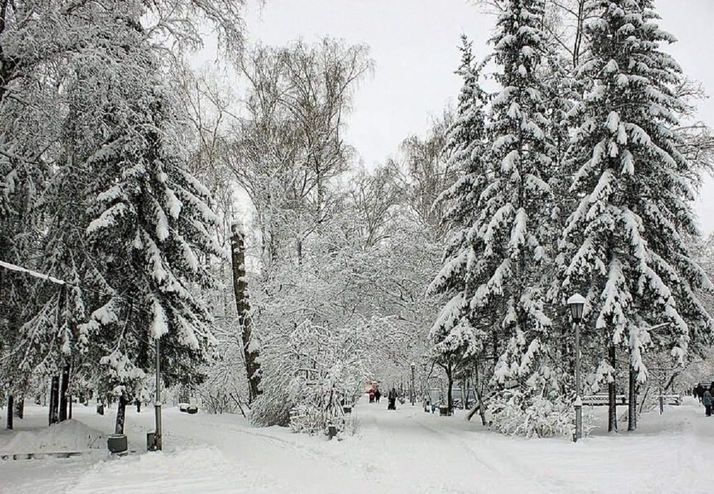 Центральный парк новосибирск зимой