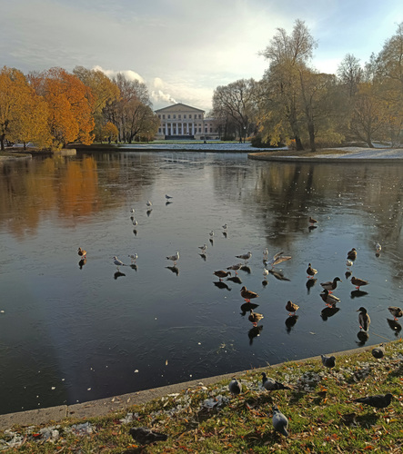 на границе зимы