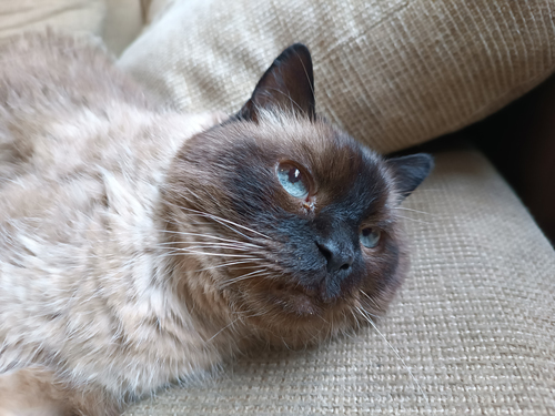 любите меня