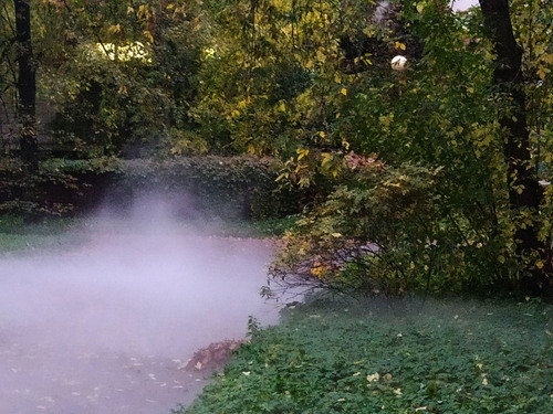осень и туман