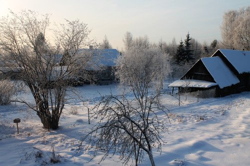 зима в деревне