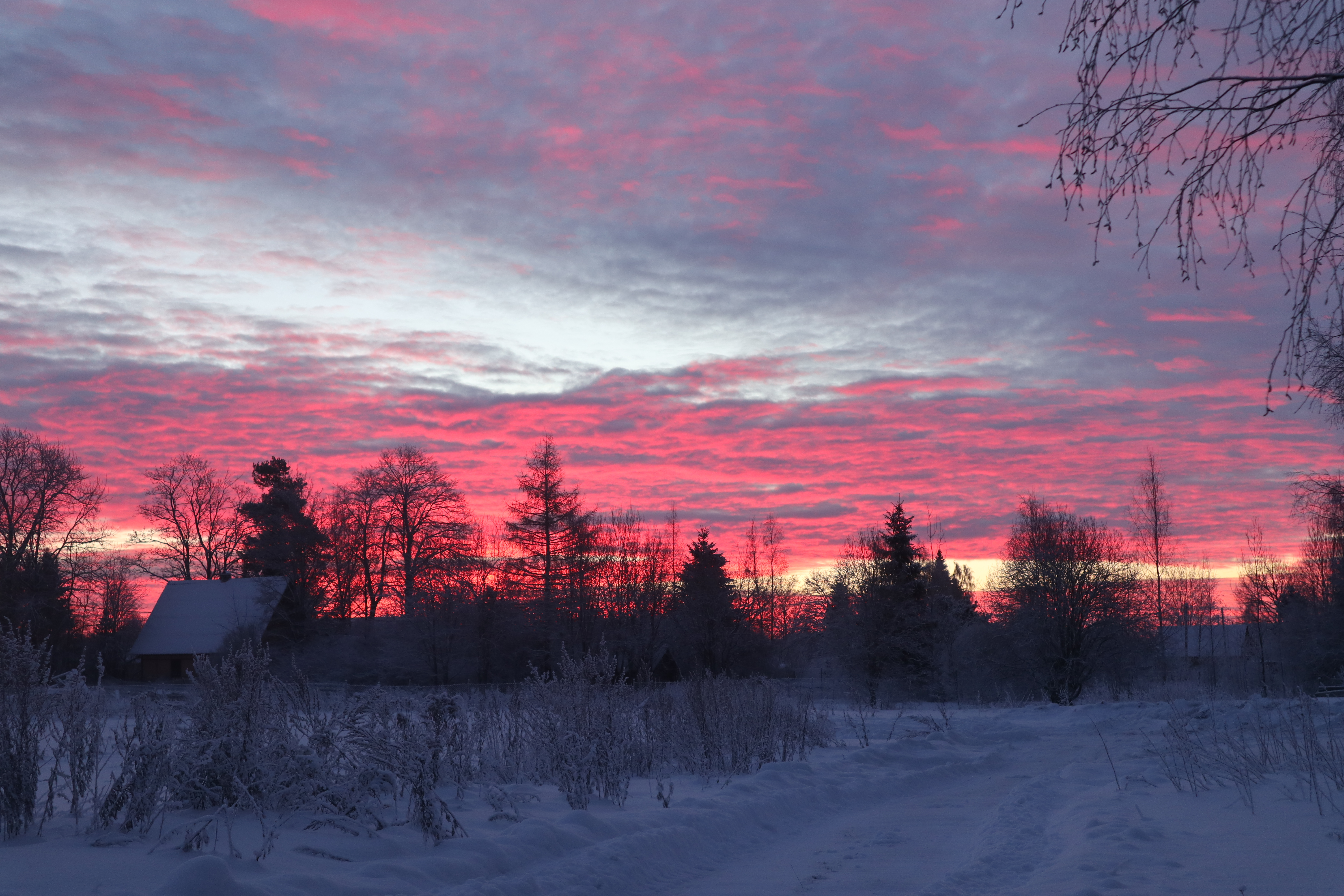 Красный рассвет фото. Зимний пейзаж Восход красноватый. Хаосный рассыет. Лес покраснел рассвет.