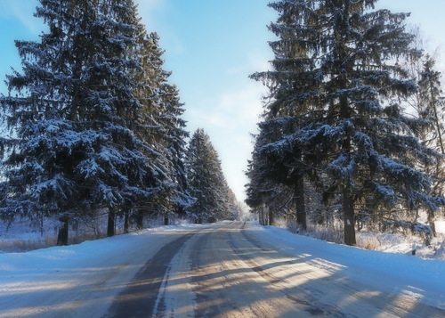 дорогами зимы