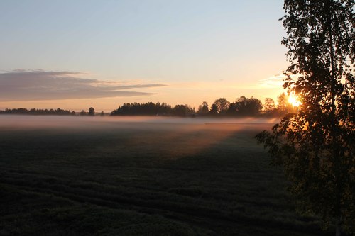 рассветное