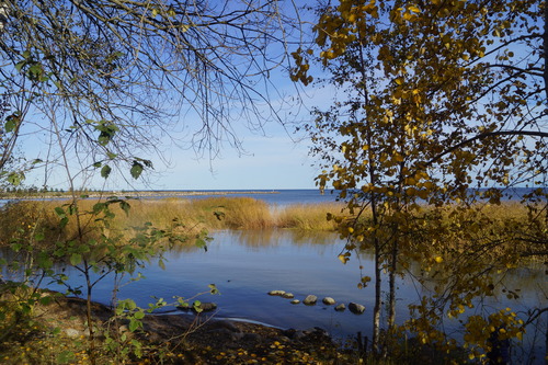 у воды