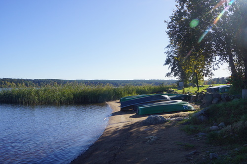 осень