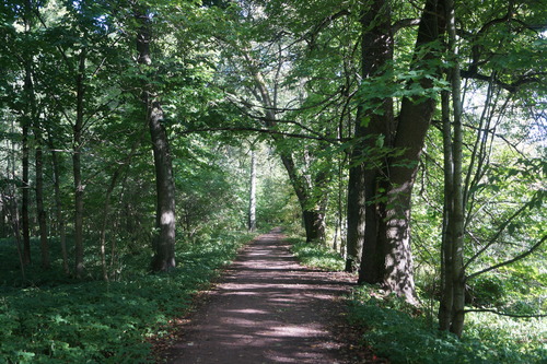 прогулка