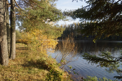 теплая осень
