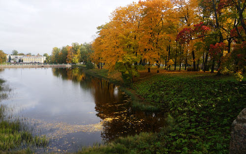 осень