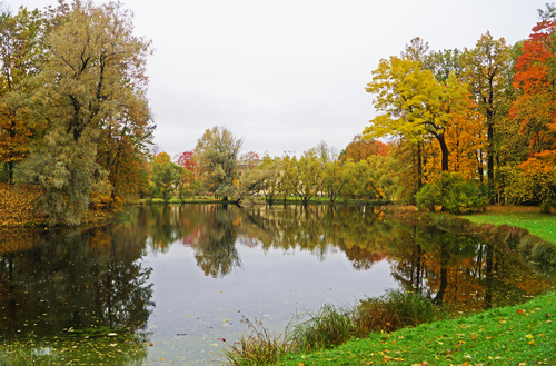 осенний день