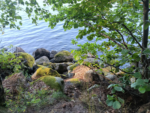 грани природы