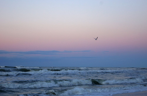 краски осени