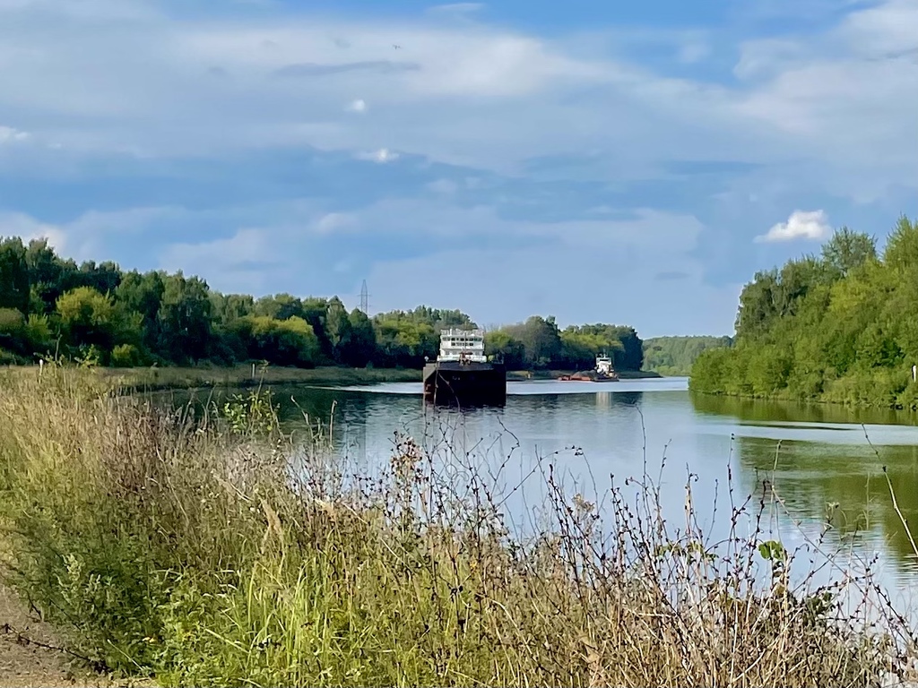 Икшинское водохранилище фото