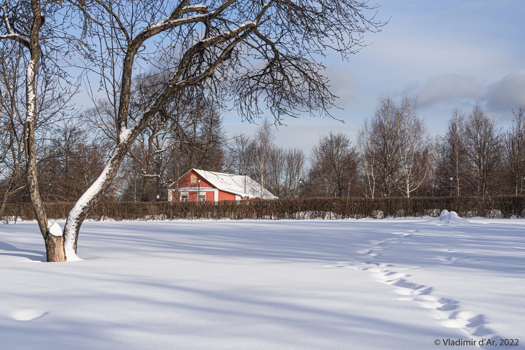Зимний пейзаж