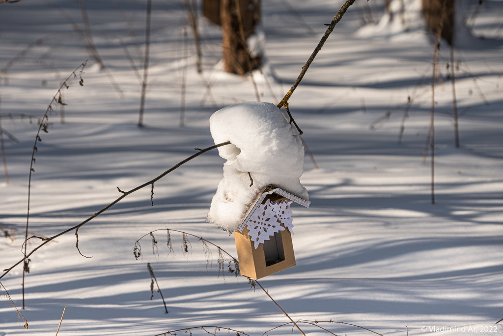 Птичий домик