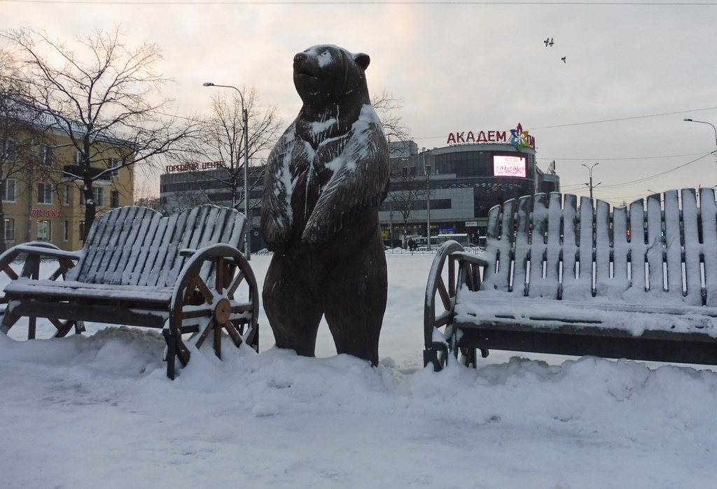 Медведь в петербурге. Питерский мишка. Медведи в СПБ. СПБ мишки на Невском.