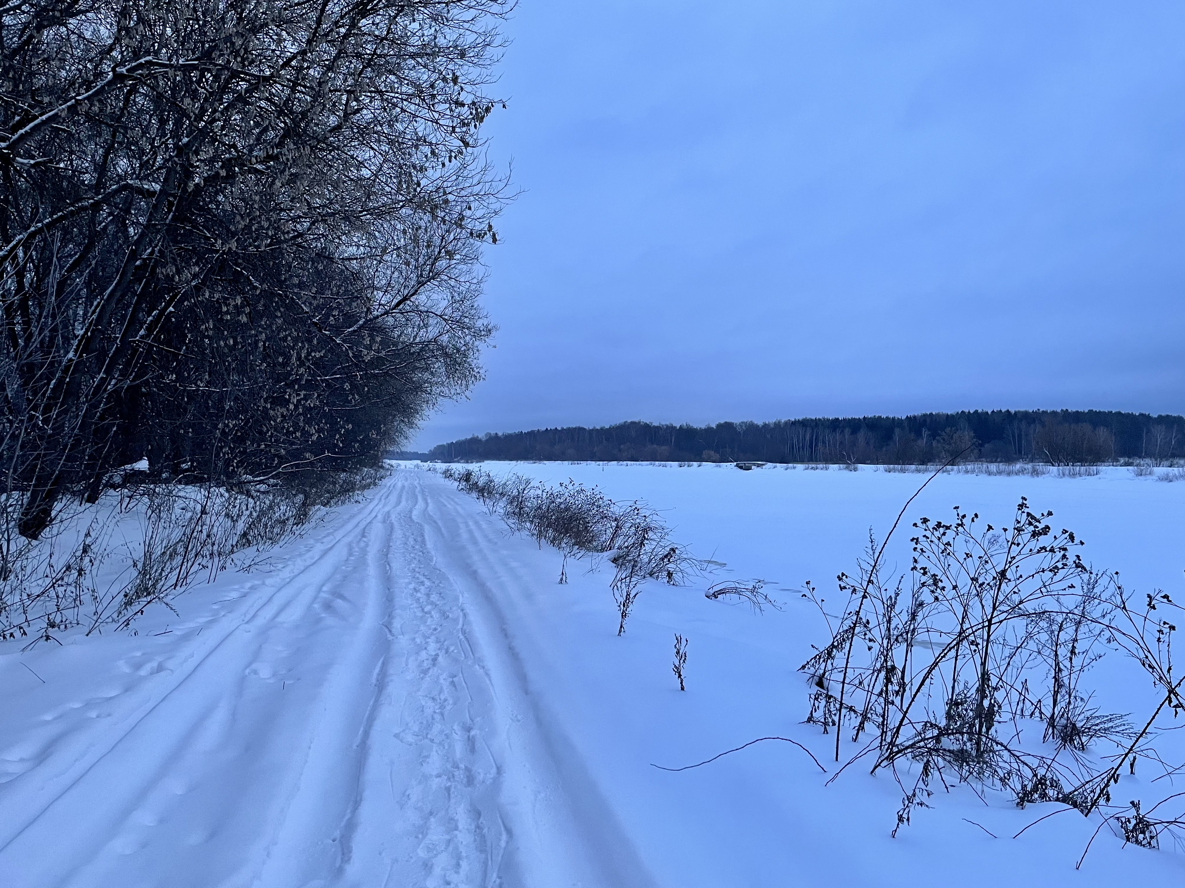 Водники морозки расписание