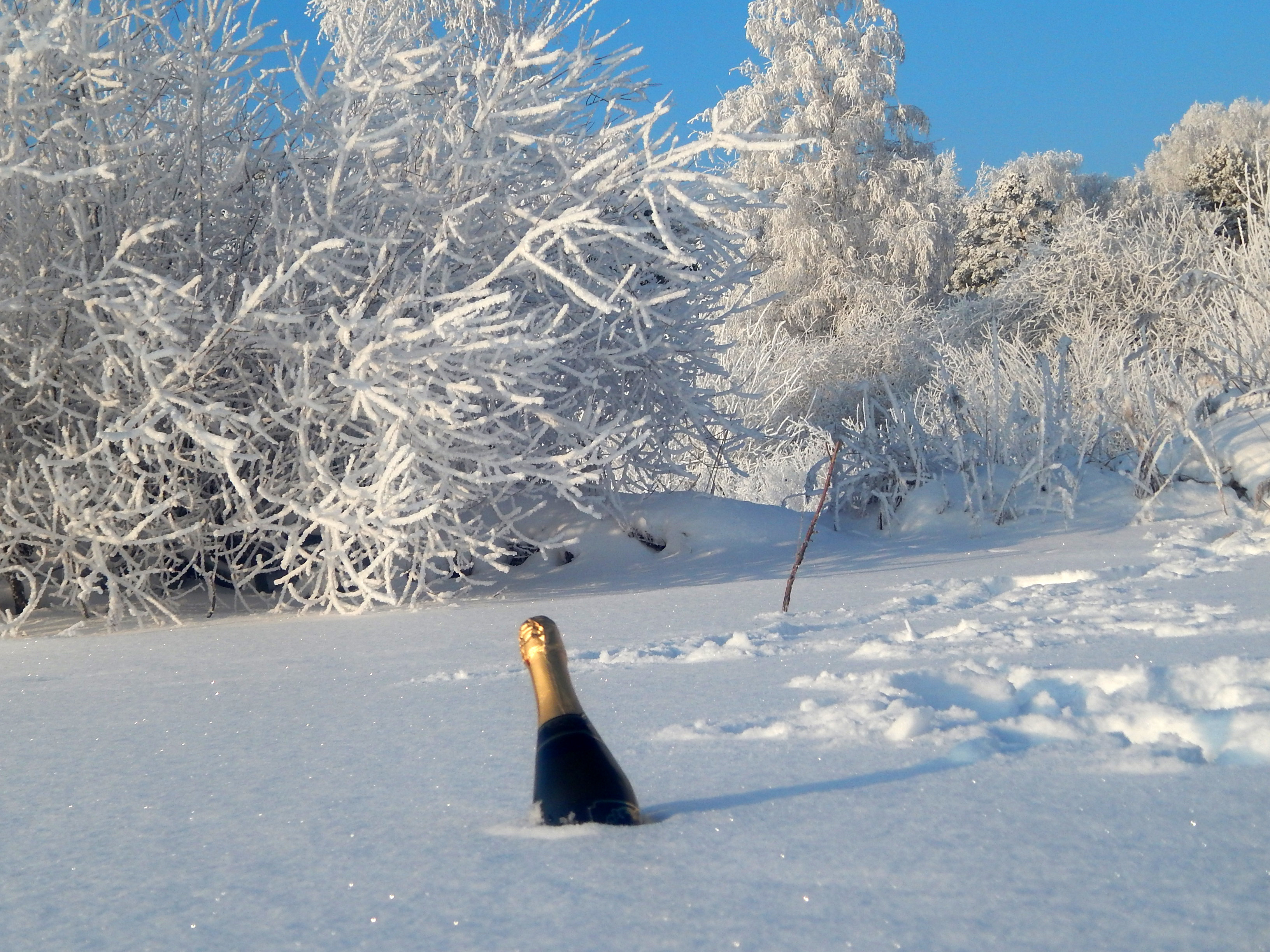 сообщество снега