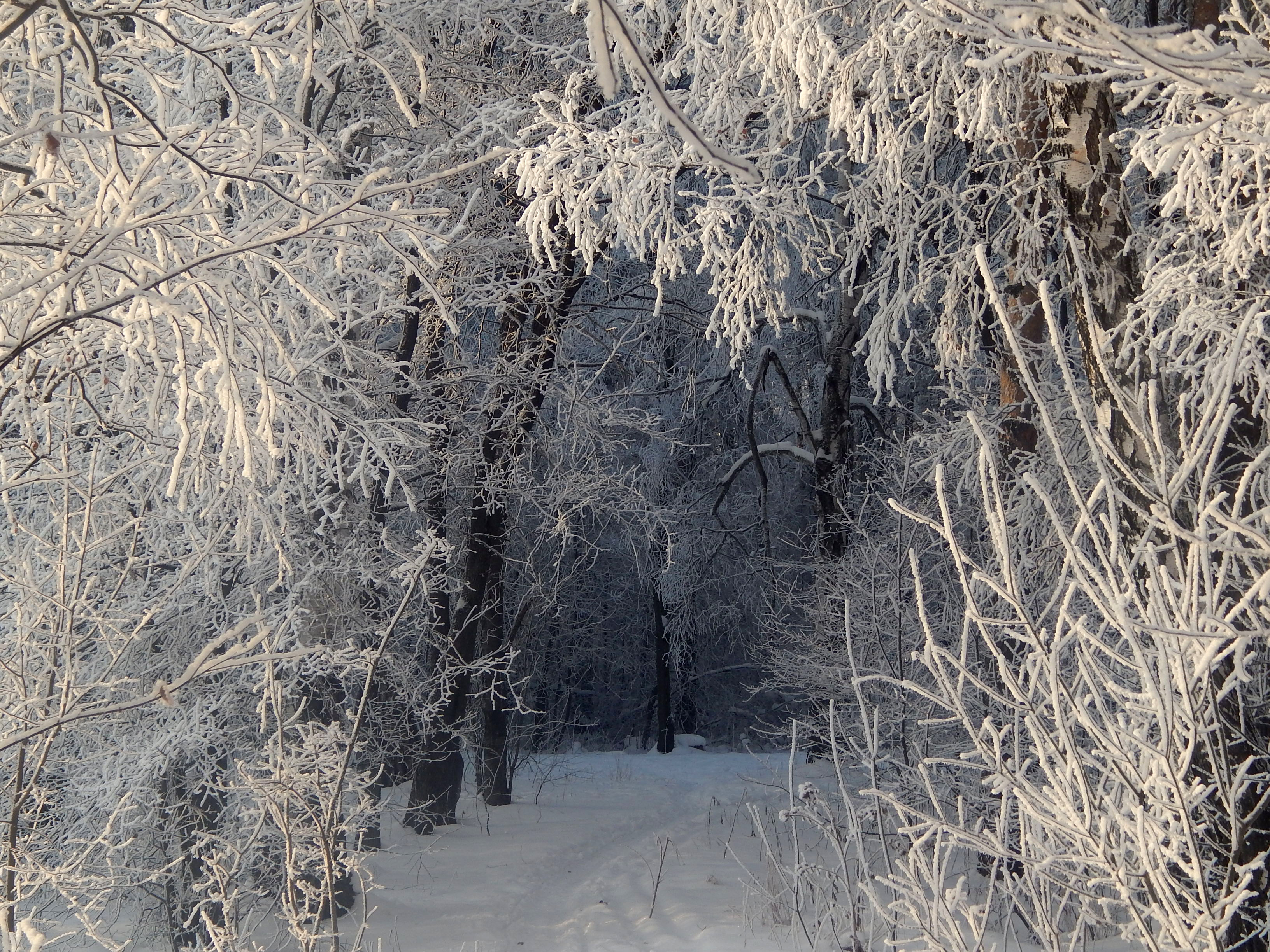 уличный фонарь зима снег. сообщество снега. последние зимние заморозки. уличный фонарь зима снег. сообщество снега.