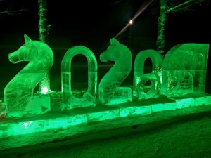 Да здравствует 2026г!!!