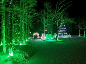 Новогодний Алдан